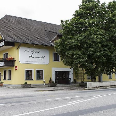 Landgasthof Kammerhof Hofstetten Luaran gambar